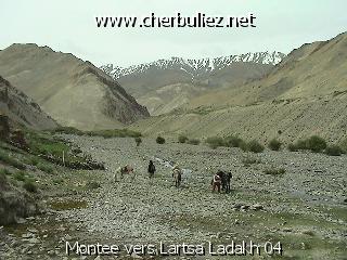 légende: Montee vers Lartsa Ladakh 04
qualityCode=raw
sizeCode=half

Données de l'image originale:
Taille originale: 164272 bytes
Temps d'exposition: 1/300 s
Diaph: f/400/100
Heure de prise de vue: 2002:06:24 09:54:48
Flash: non
Focale: 42/10 mm
